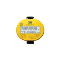 Smart Ultrasonic Water Meter - Cubic